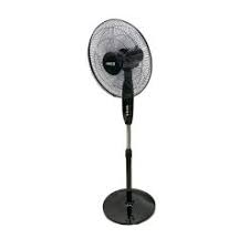 Fans